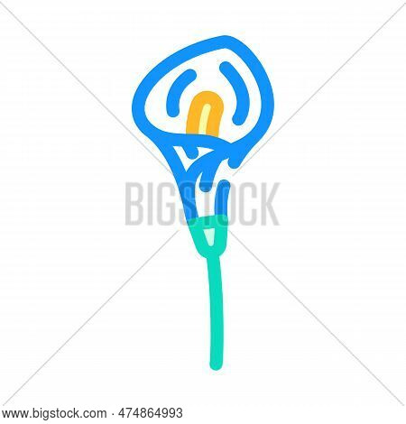 Calla Lily Blossom Spring Color Icon Vector. Calla Lily Blossom Spring Sign. Isolated Symbol Illustr