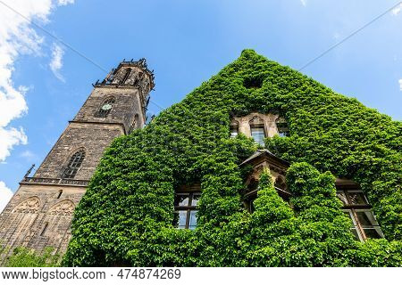 Magdeburg Gothic Medieval Cathedral Dom Church Slate Tile Roof And Green Fresh Ivy Covered Old Stone