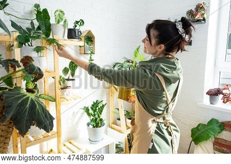 Woman Plant Breeder Examines And Admires Home Plants In A Pot From Her Collection At Home On The She