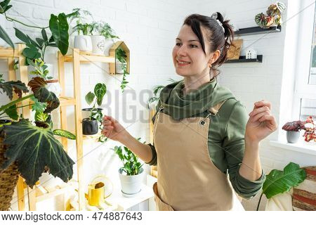 Woman Plant Breeder Examines And Admires Home Plants In A Pot From Her Collection At Home On The She