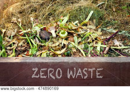 Zero Waste - Text On The Front Of A Compost Bin With Food Scraps And Grass Clippings. Composting A P