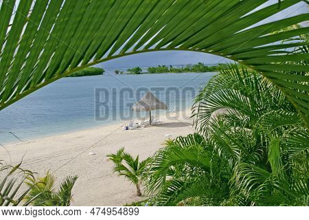 Scenic Of Caribbean Paradise Trough The Palms