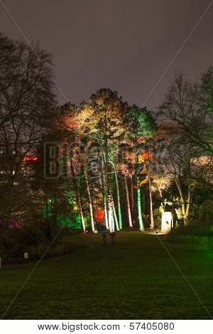 Winterlichter In The Palmgarden