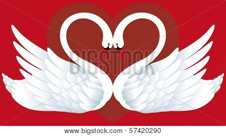 Two Swans in Love