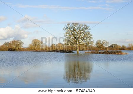 Ashleworth Ham in flood