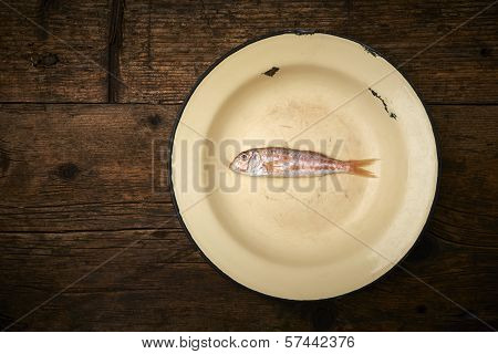 Fresh Fish, Mullet