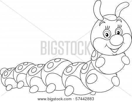 Caterpillar