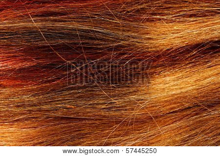 Hair Texture