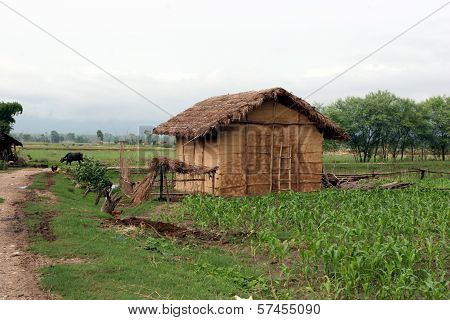 Terai landscape in Nepal