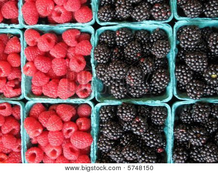 Frambuesas y moras