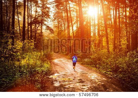 Morning Jogger