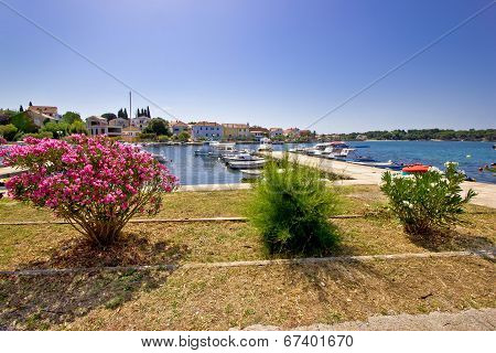 Adriatic Town Of Petrcane Waterfront