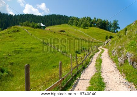 Strada rurale