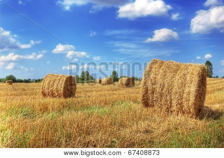 Field And Sky.