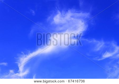 White Cloud And Blue Sky