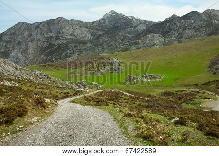 Dirt Road in the  Cantabrian Mountains,Spain