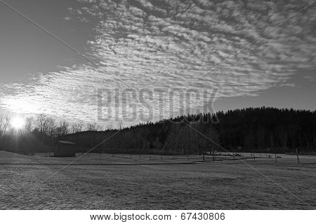 Majestic late sunset in the winter forest.