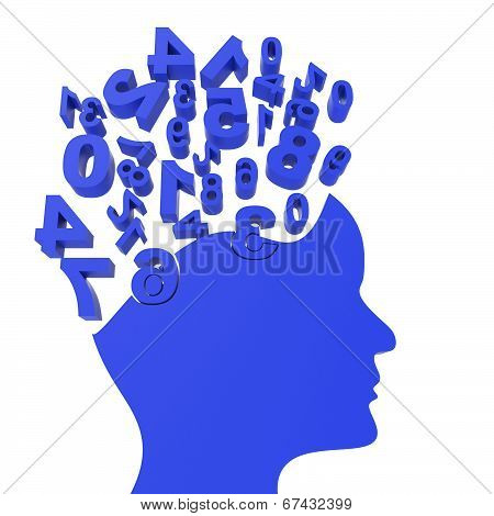 Head Education Shows Develop Studying And Digits