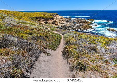 Hiking Path In Garrapata State Park By Pacific