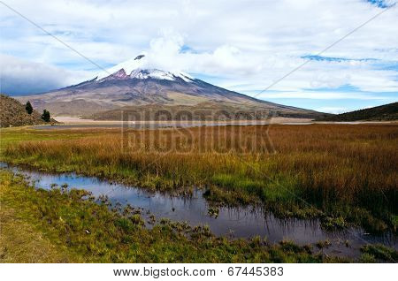 Limpiopungo Lagoon At The Foot Of The Volcano Cotopaxi, Latacunga, Ecuador