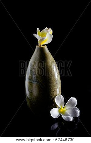 Frangipani Flower In Vase Isolated On Black Background