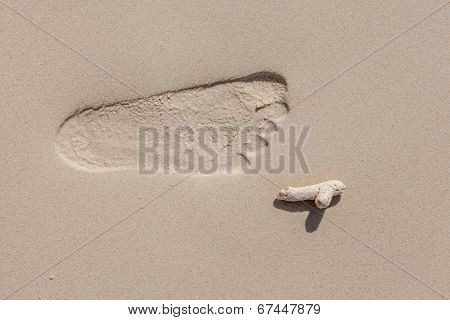 Close-up Footprint On The Beach With Little Coral/
