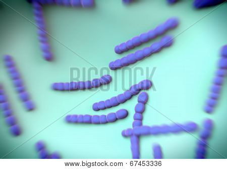 Streptococcus pneumoniae, bacteria artwork