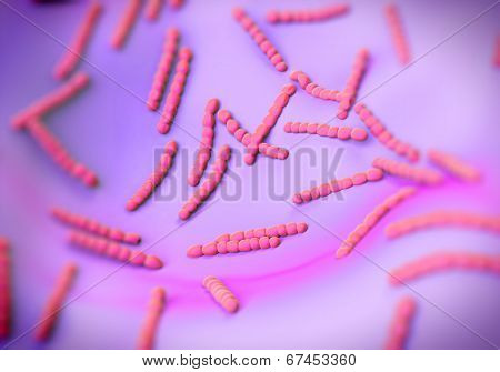 Streptococcus pneumoniae, bacteria artwork