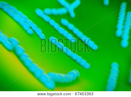 Streptococcus pneumoniae, bacteria artwork