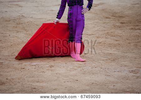 The Barefoot Bullfighter
