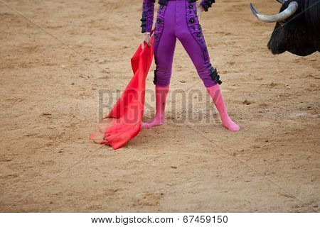 The Barefoot Bullfighter