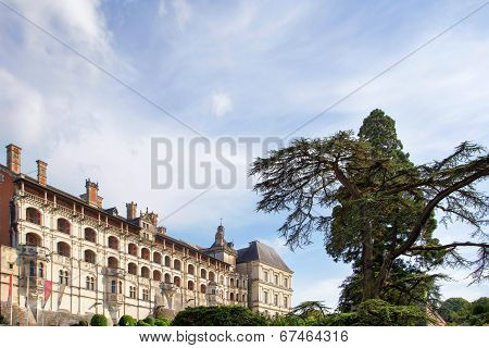 Chateau De Blois
