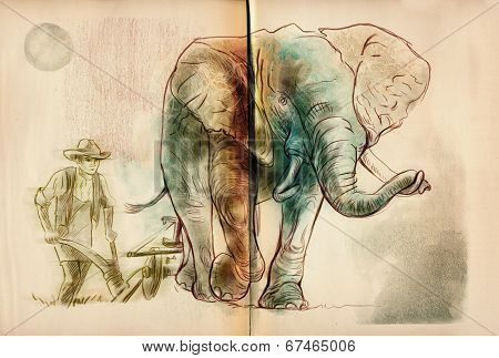 The Strongest Beast In The Field: John D