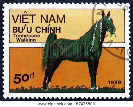 Postage Stamp Vietnam 1989 Tennessee Walking Horse