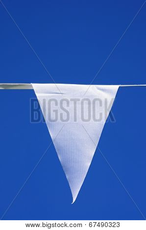 White triangular pennant.