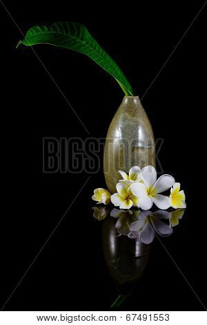 Frangipani Flower And Leaf In Vase Isolated On Black Background