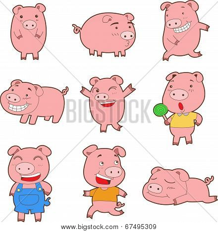 Pig Cartoon