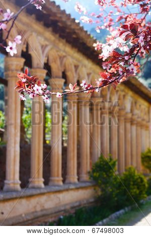 Medieval Cloister