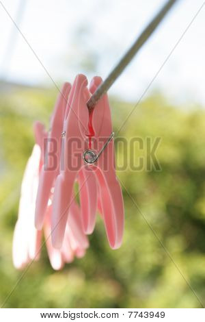 Mollette rosa