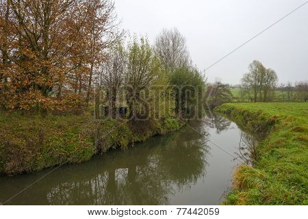 Trees reflecting in a river at fall