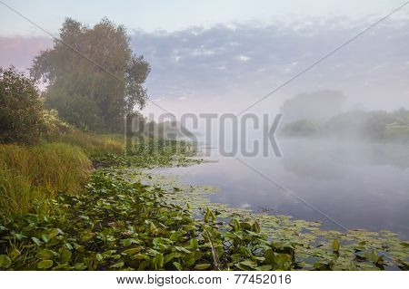 Lake And Green Fields