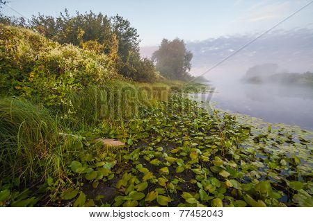 Lake And Green Fields
