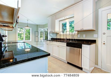 White Kitchen Interior
