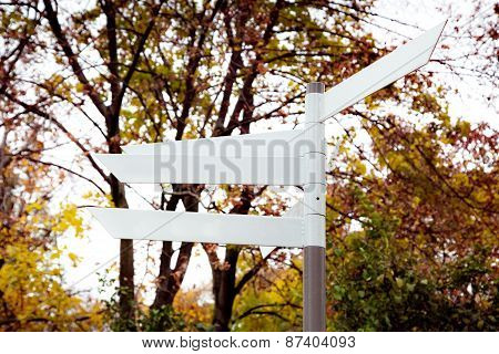 Blank Direction Signpost