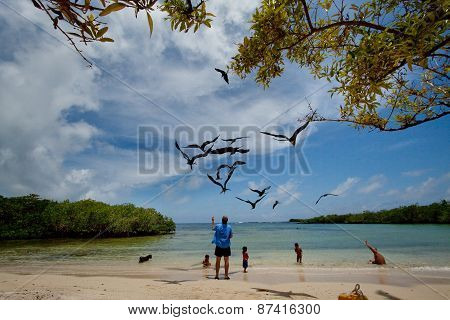 Unidentified tourists enjoying watching seabirds in Playa de los Alemanes, German beach, Galapagos I