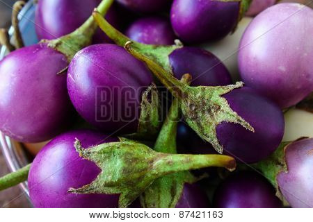 Colorful small purple eggplants