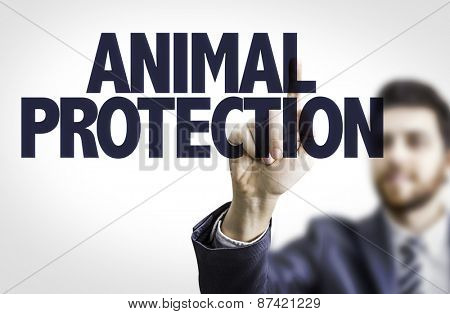 Business man pointing the text: Animal Protection