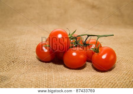 Bunch Of Red Cherry Tomatoes On Old Cloth