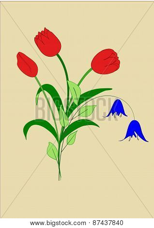 bouquet