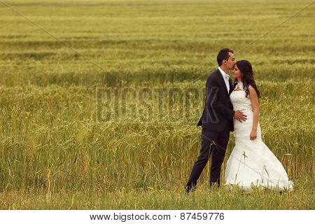 Bride And Groom Posing In The Fields